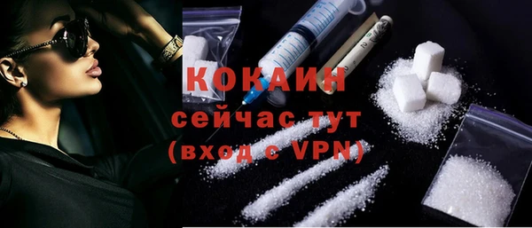 дмт Няндома