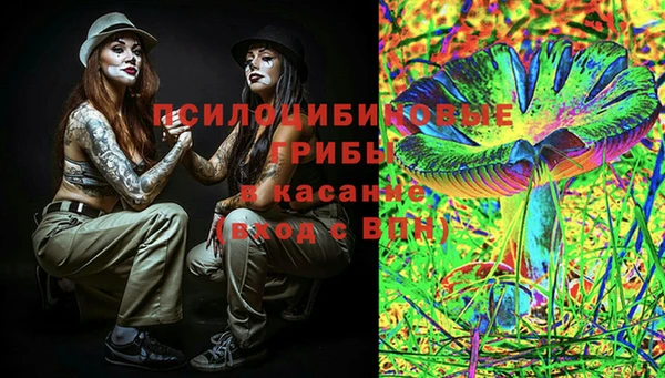 дмт Няндома