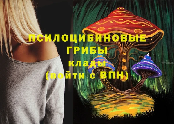 эйфоретик Нязепетровск