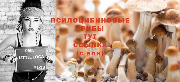 эйфоретик Нязепетровск