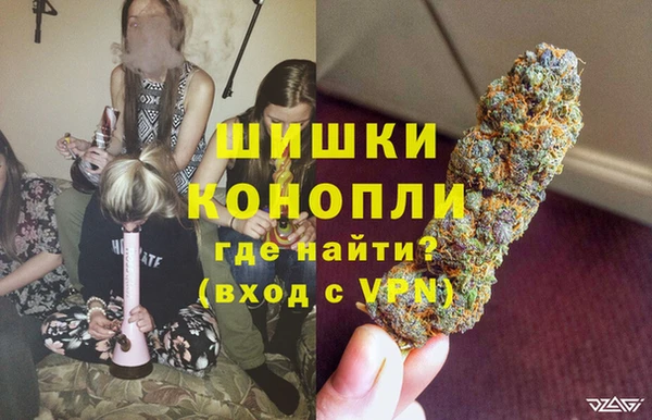 дмт Няндома