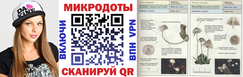 KRAKEN ссылка  Волжск  Псилоцибиновые грибы Psilocybine cubensis 