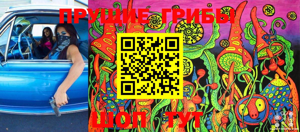 Псилоцибиновые грибы Magic Shrooms  Волжск  Псилоцибиновые грибы GOLDEN TEACHER 