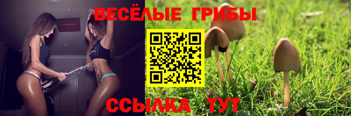 Галлюциногенные грибы GOLDEN TEACHER Волжск